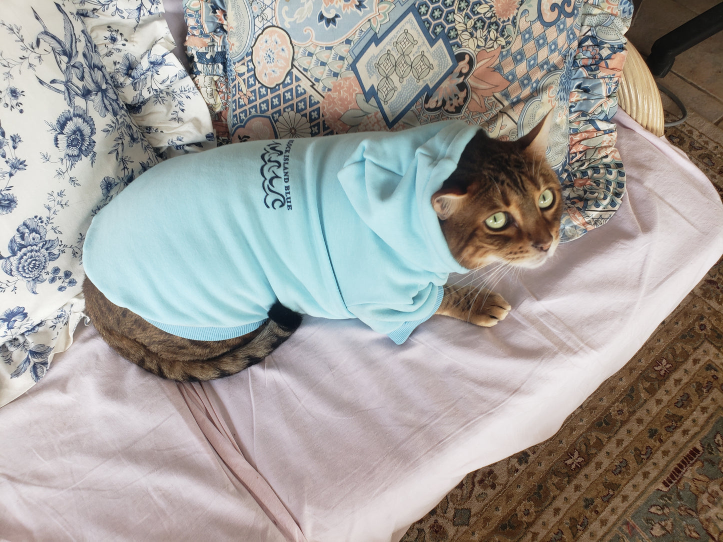 Pet Hoodies