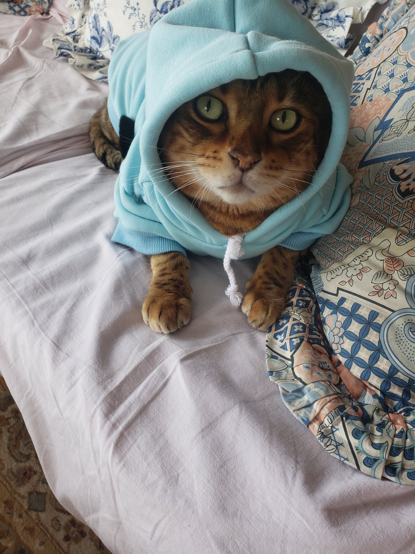 Pet Hoodies