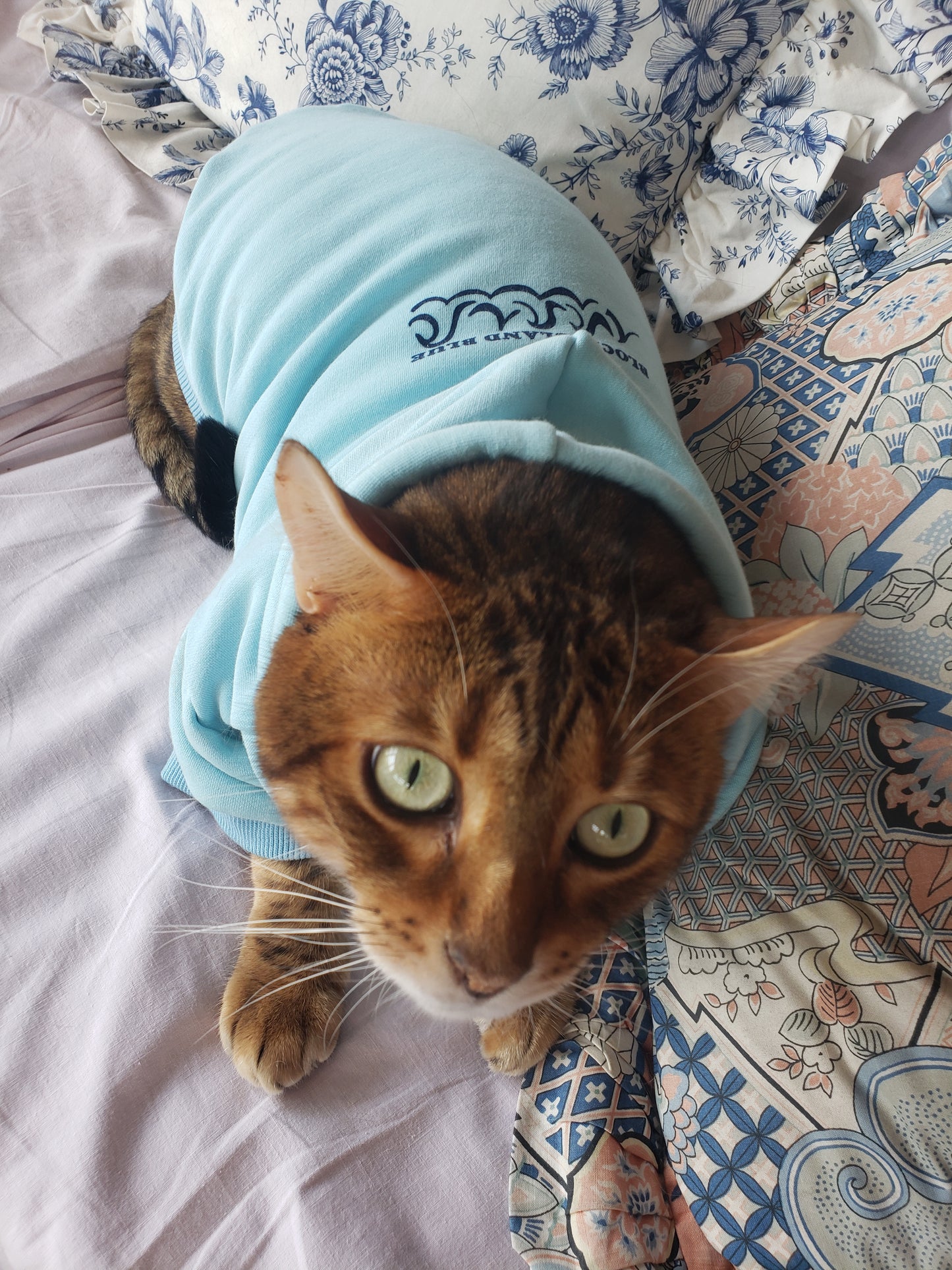 Pet Hoodies